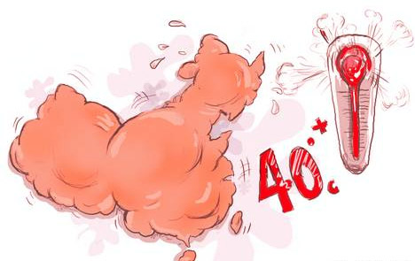 吉利博越.jpg