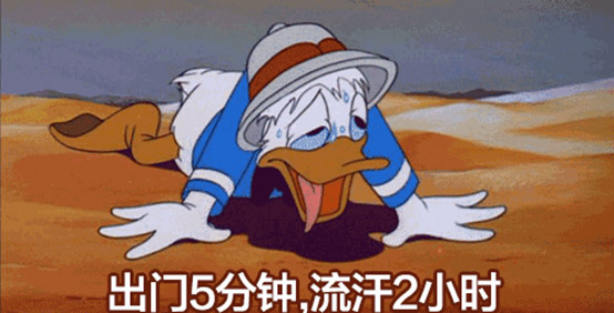 吉利博越.jpg