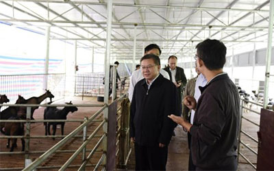积极响应中央号召 为脱贫攻坚作出贡献_图片新闻