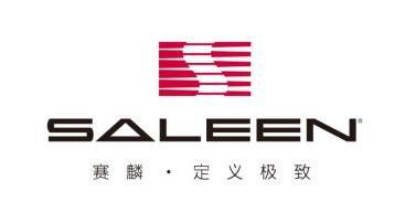 王芳出任江苏赛麟汽车人力资源总监