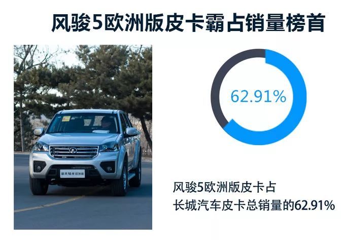 累计突破12万台 同比增长超20% 长城皮卡将销冠传奇变常态_图片新闻