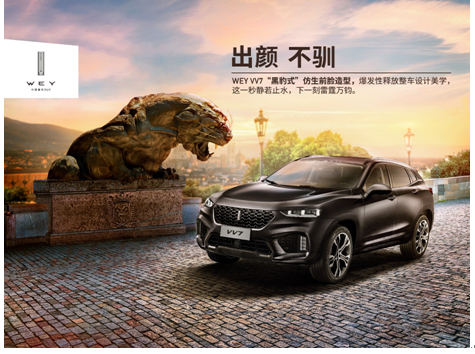 挑花眼的SUV市场 为什么不选合资品牌而选择他_图片新闻
