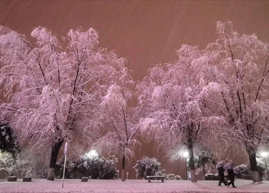 《双致回家》之冰雪试驾日—莽苍白雪，就该尽情撒野