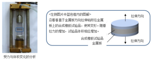 住友橡胶高耐久性橡胶材料技术获突破_图片新闻