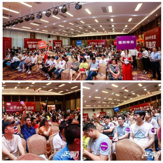扬丰搏发 一汽丰田真心乐享购车节完美落幕_图片新闻