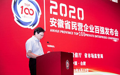 2020安徽省民营企业百强榜单公布，维天运通（路歌）荣列营收百强第6位！_图片新闻