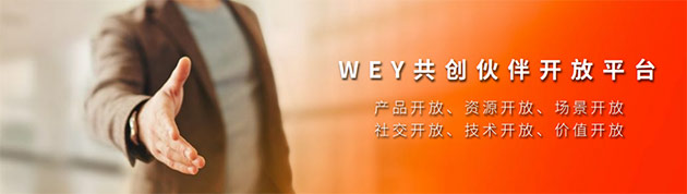 WEY VV5元气橙版14.68万元上市 