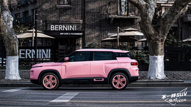 吉利ICON陪伴浪漫樱花季