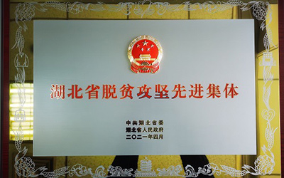 东风公司扶贫办荣获“湖北省脱贫攻坚先进集体”称号_图片新闻