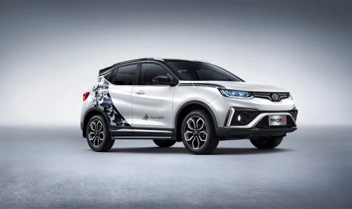 蓝企鹅/北极熊 东南DX5新车