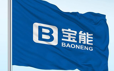 不断夯实根基 蓄力完成的宝能汽车要放大招了_图片新闻