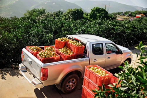 油价上涨也不愁 风骏皮卡高效节油 致富好帮手