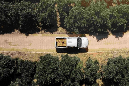 油价上涨也不愁 风骏皮卡高效节油 致富好帮手