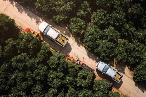 油价上涨也不愁 风骏皮卡高效节油 致富好帮手