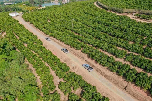 油价上涨也不愁 风骏皮卡高效节油 致富好帮手