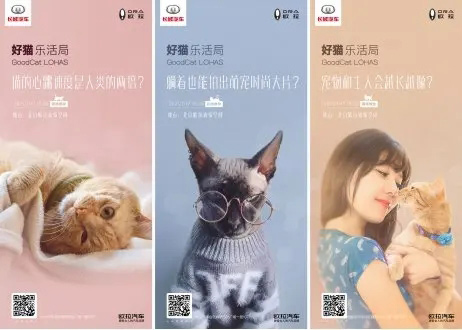 北京体验中心成为大型撸猫现场