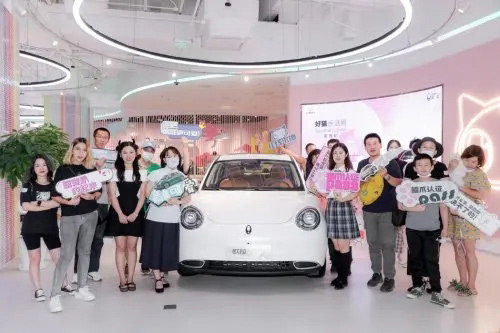 北京体验中心成为大型撸猫现场