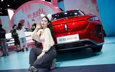 从“等风来”，到“领风潮”|如此惊人的“欧拉速度”，意味着什么？_图片新闻