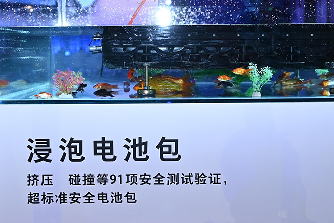 619c8e48032bb1381215579.jpg