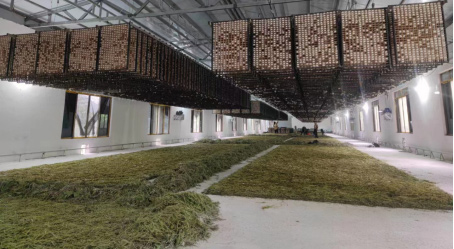 中国一汽支持凤山县建设标准化蚕房
