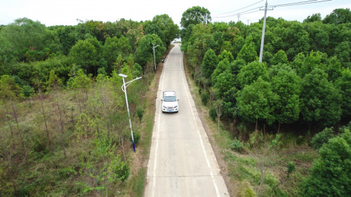 二十载种树之路 江西五十铃瑞迈引领致富路