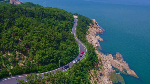 长城炮全球化布局开启“狂飙”模式 长城炮全球化布局开启“狂飙”模式