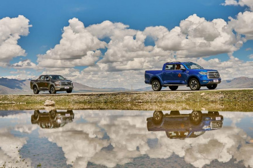 全国88%地级市皮卡解禁 长城炮品类创新助推中国皮卡