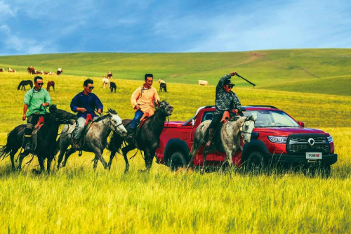 全国88%地级市皮卡解禁 长城炮品类创新助推中国皮卡