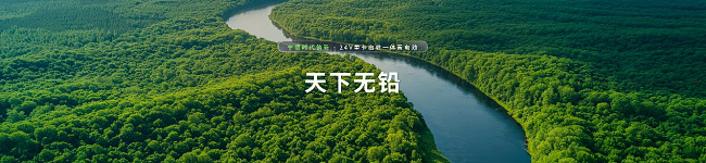 宁德时代钠新电池 全球首个大规模量产的钠电池