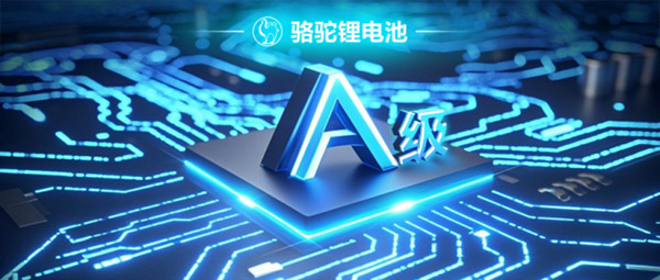 质保+保险 骆驼三代驻车锂电守护卡友“每一程”