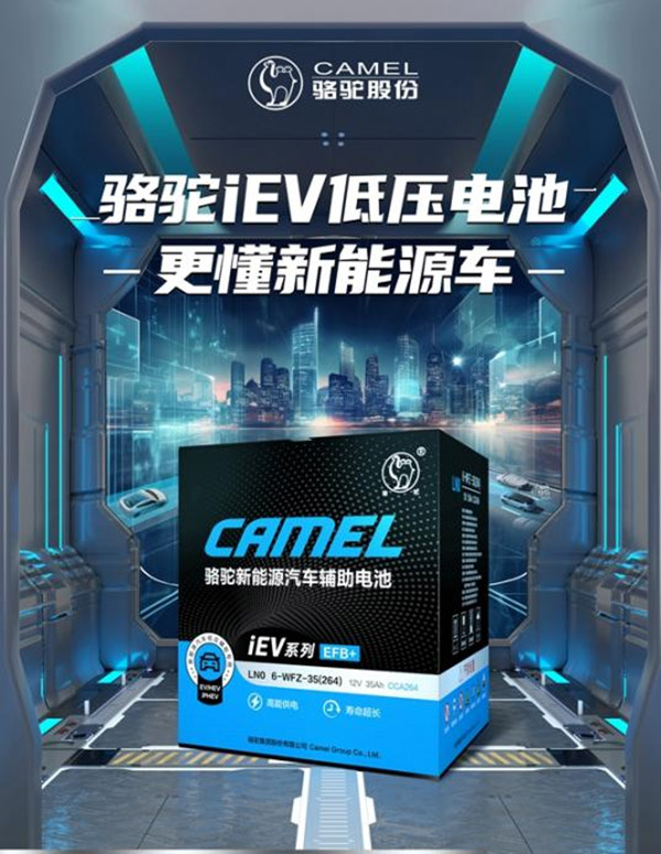 骆驼iEV低压辅助电池