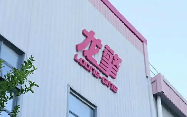 东风龙擎叶峰：战略、技术与服务铸就市场开拓基础_图片新闻