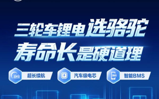 三轮锂电选骆驼：以汽车级标准焕新低速出行体验_图片新闻