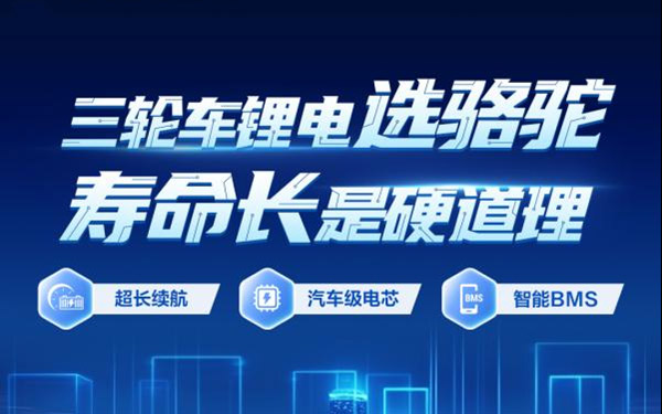 开启新未来！骆驼低速锂电上市或将撬动千亿市场_图片新闻