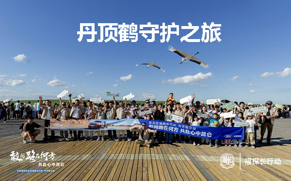 福探长行动